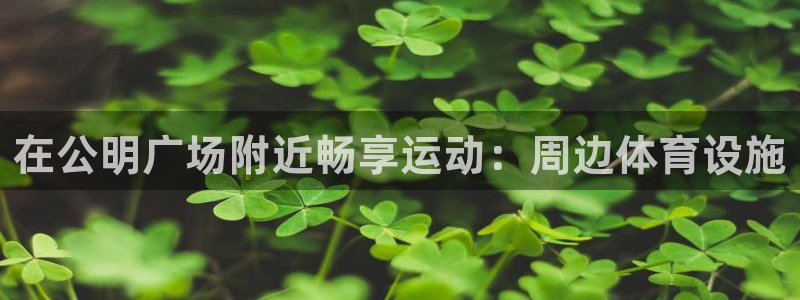 意昂3神州：在公明广场附近畅享运动：周边体育设施